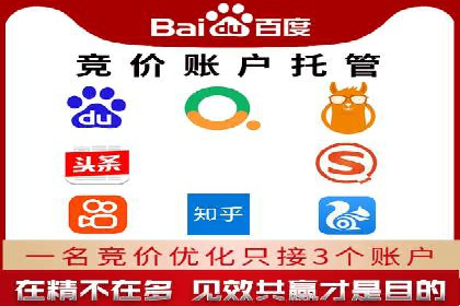 SEM广告投放策略：成功案例解析